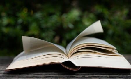 Almanaque livro