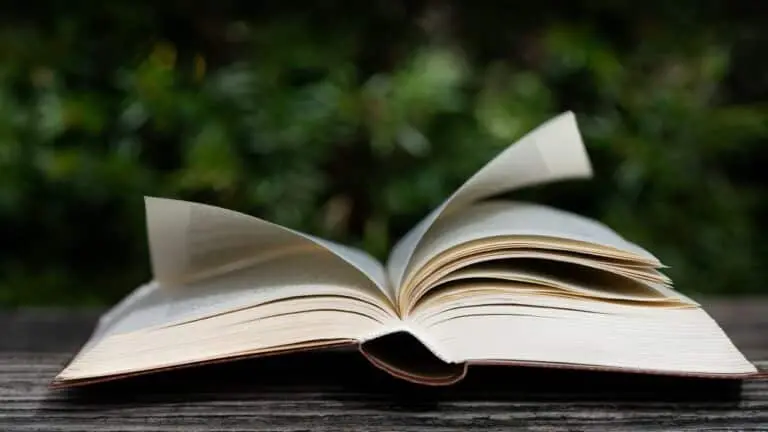 Almanaque livro