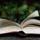 Almanaque livro