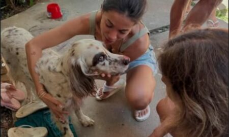 Anitta com seu cachorro