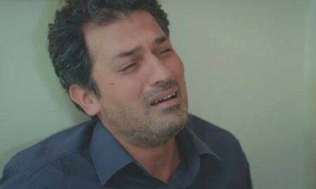 Arif