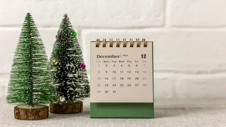 Calendário dezembro 2024
