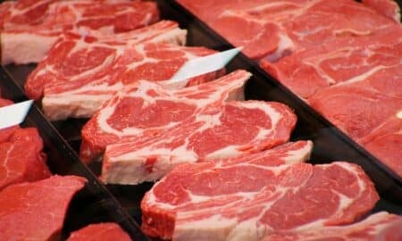 Carne Vermelha Churrasco