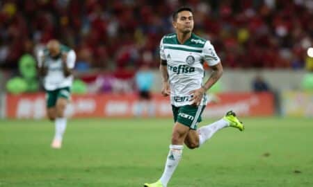 Dudu Palmeiras