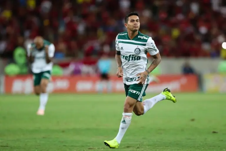 Dudu Palmeiras