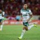Dudu Palmeiras
