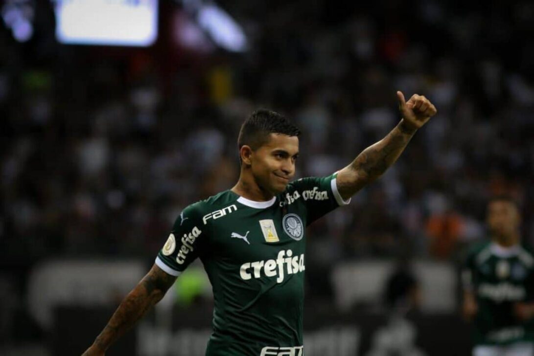 Dudu Palmeiras