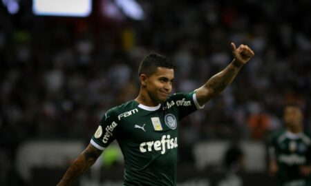 Dudu Palmeiras