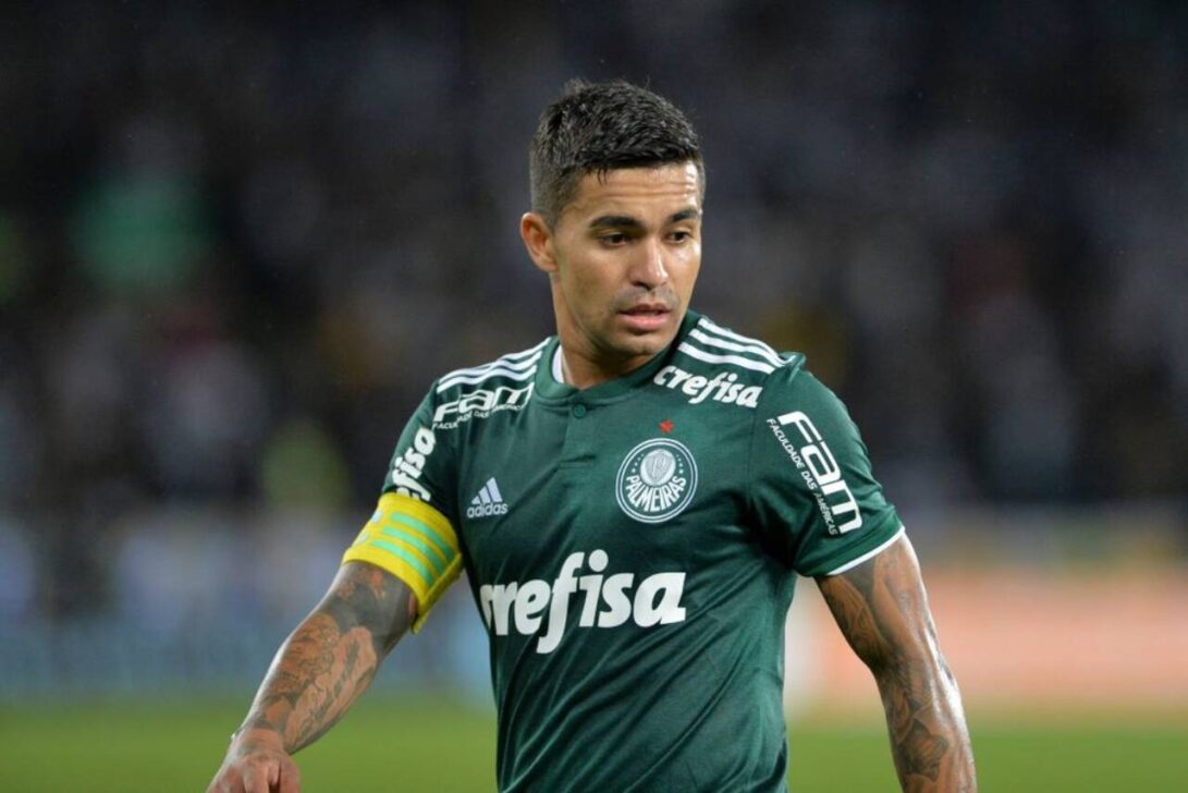 Dudu Palmeiras