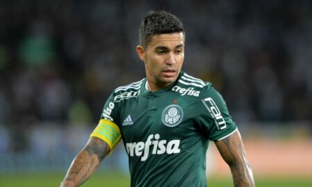 Dudu Palmeiras