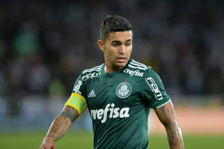 Dudu Palmeiras