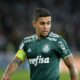 Dudu Palmeiras