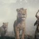 Filme Mufasa: O Rei Leão