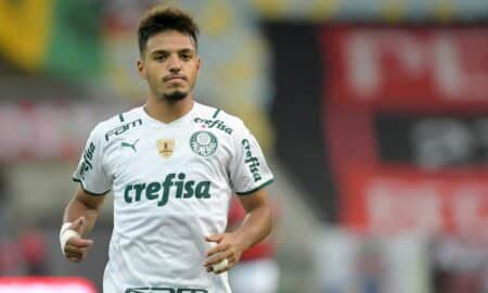 Gabriel Menino Palmeiras