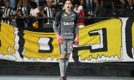 Gatito Botafogo