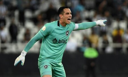 Gatito Botafogo