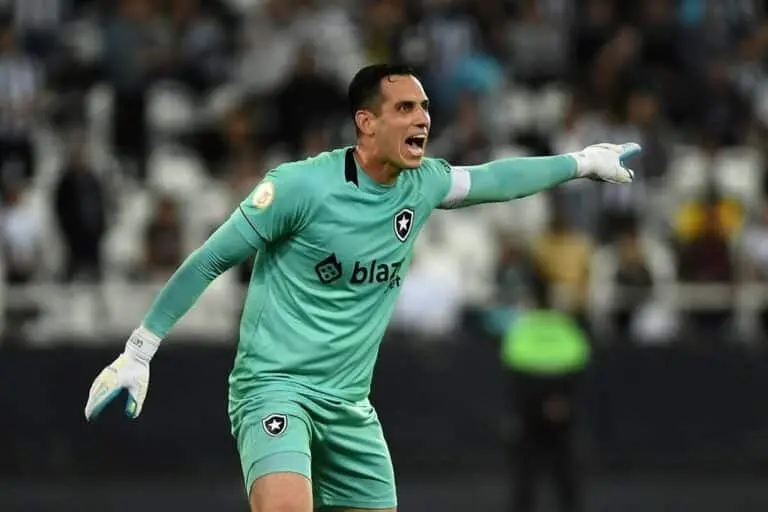 Gatito Botafogo