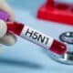 H5N1 Vírus