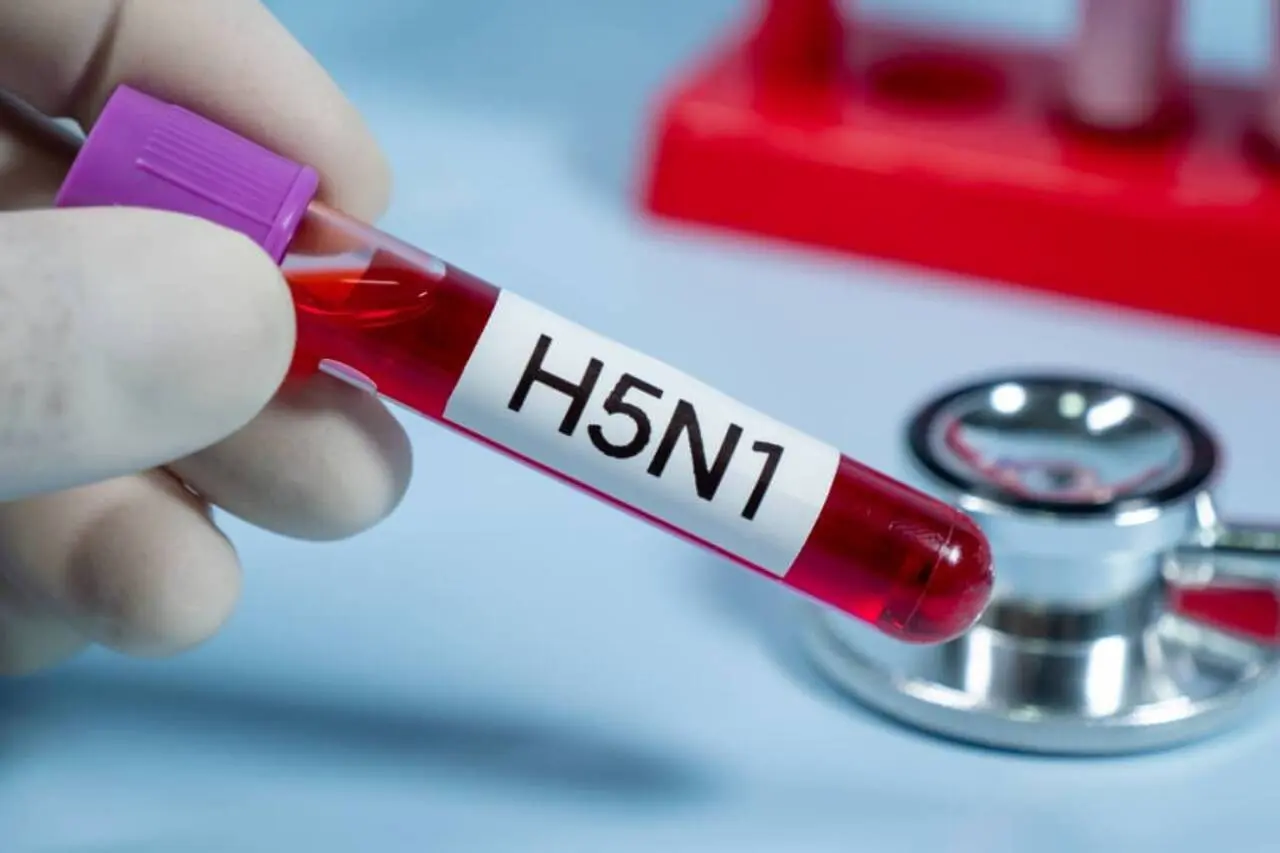 H5N1 Vírus