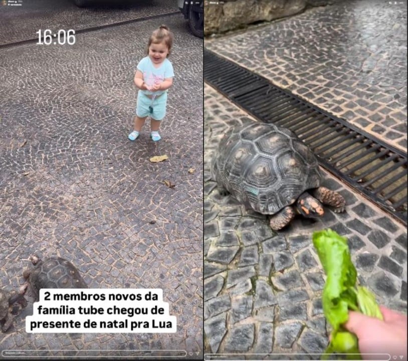 Lua ganha Jabutis de Natal