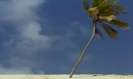 Mangue Seco