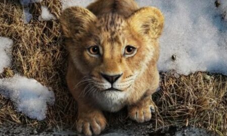 O Rei Leao