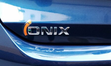 Onix-Luciana-Biazzi-Shutterstock.com-