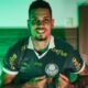 Paulinho no Palmeiras