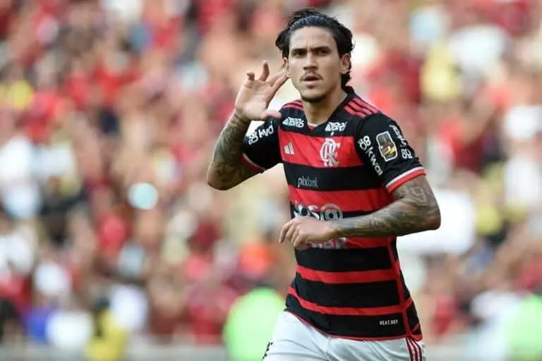 Pedro Flamengo