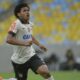Romarinho