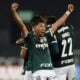 Rony Palmeiras