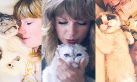 Taylor Swift e seus gatos
