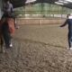 Vídeo mostra Dujardin maltratando cavalo em treino
