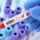 Vírus H5N1
