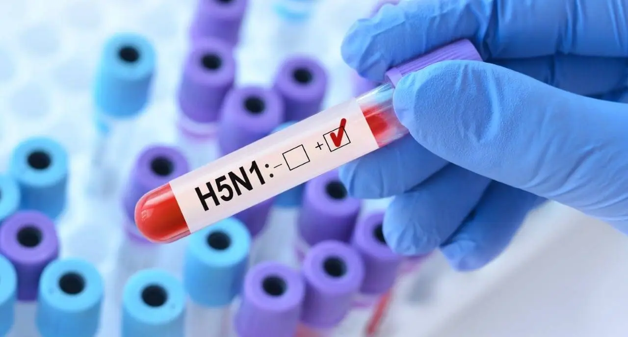 Vírus H5N1