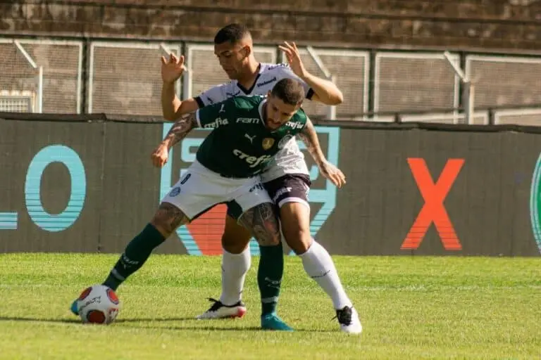 Zé Rafael Palmeiras