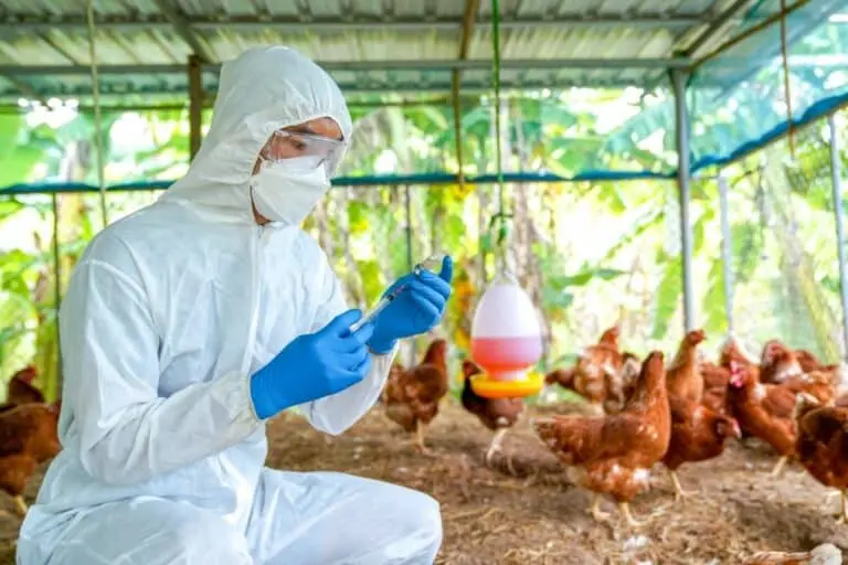 H5N1