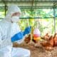 H5N1