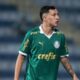 thalys palmeiras