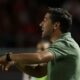 Abel Ferreira Palmeiras