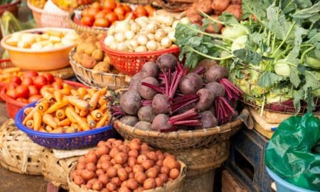 Alimentos