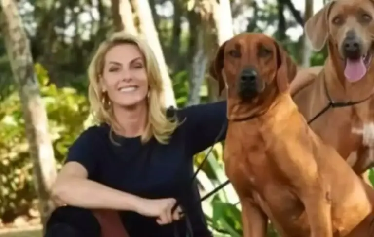 Ana Hickmann e Cachorros