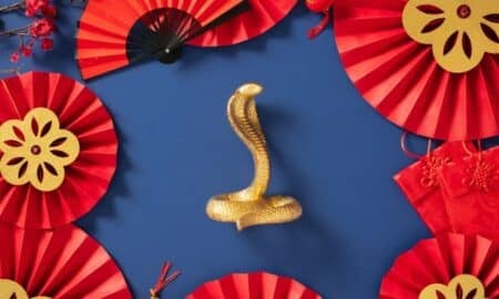 Ano novo Chinês