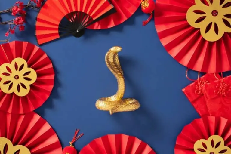 Ano novo Chinês