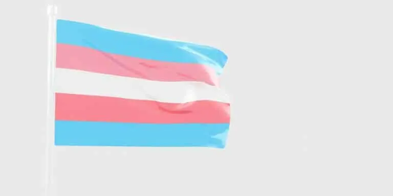 Bandeira Trans
