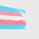 Bandeira Trans