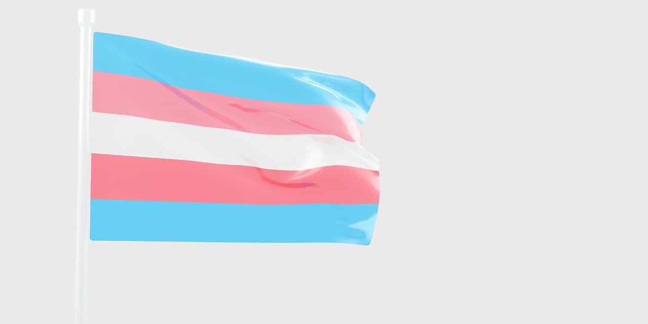 Bandeira Trans