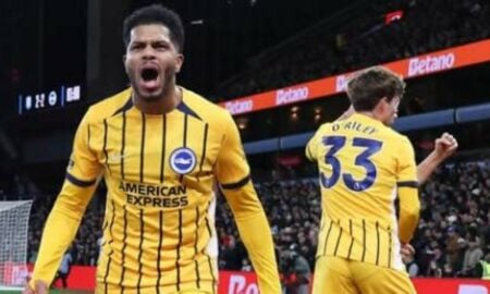 Brighton Albion