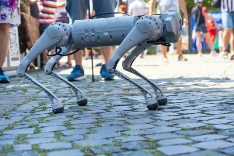 Cão Robô