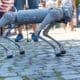 Cão Robô